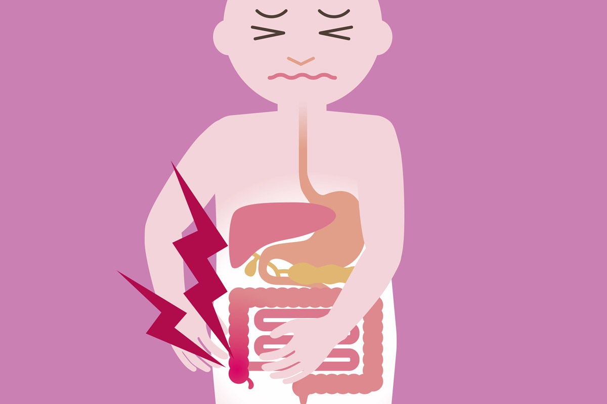 What Does the Appendix Do & Other Questions About the Body's Mystery Organ