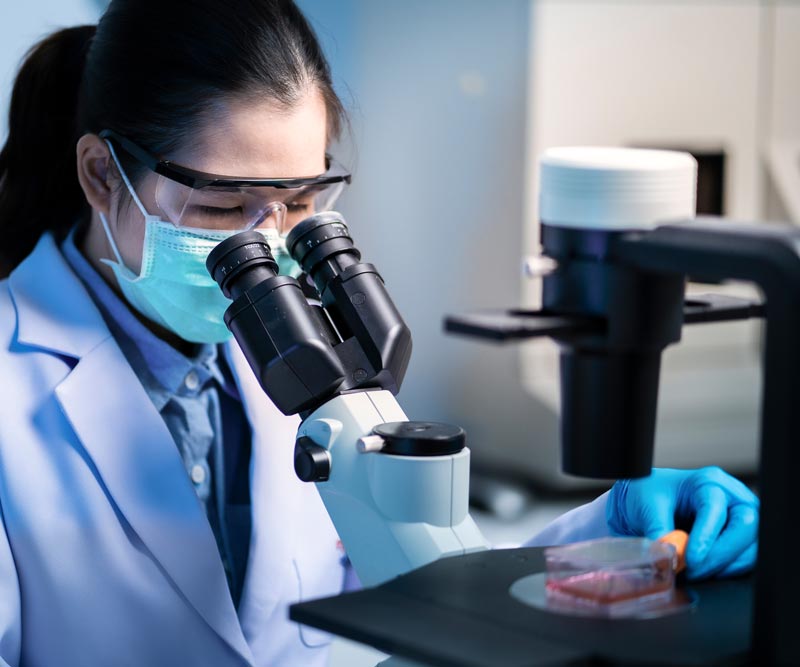 a female doctor wearing a white coat and face mask exams cells under a microscope in a lab