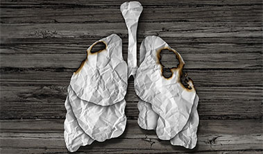 Paper cutout of lungs with burn holes in them.